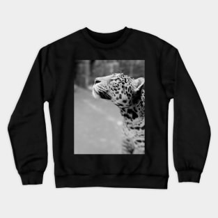 Leopard Crewneck Sweatshirt